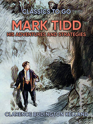 cover image of Mark Tidd